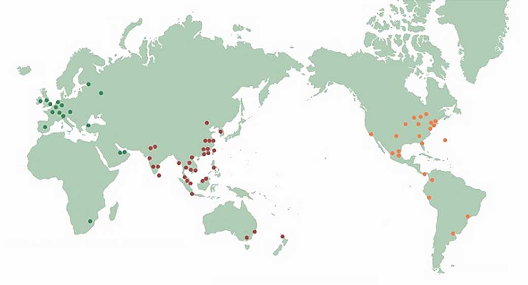 Overseas Network 地図イメージ